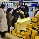 신세계농장 이미지