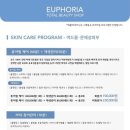 유포리아 에스테틱 이미지