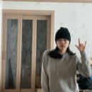 벌툰울진 이미지