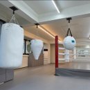 스타복싱클럽 연천 이미지