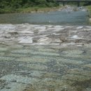 포유농장 이미지