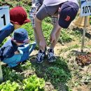 대원농장1 이미지