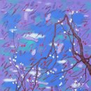 별빛드리운호수 이미지