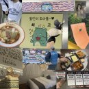 에버호텔 | 동백역 바로 앞 용인 이스키아 호텔 내돈내산 후기 | 캐리비안베이·에버랜드 무료이용·스타십데이...