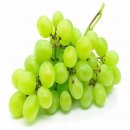 test 이미지