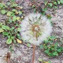 철길풍선 이미지