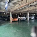 중앙동155 이미지