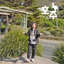 호주 멜버른 여행 12사도길, 그레이트 오션 로드 그랜드 투어 오지나라 내돈내산 후기