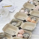 제로웨이스트 샴푸바, 고체치약 만들기 이미지