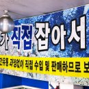 속초대게축제 | 속초 대게 맛집 내 기준 1등 내돈내산 포장 후기까지