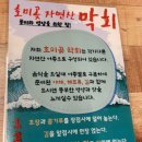 호미곶막회물회 이미지