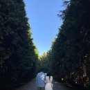 재동목장 이미지