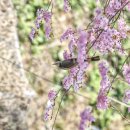 배화학교 이미지