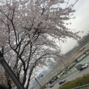 GS25 송정아이파크 이미지