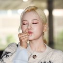 서율 이미지
