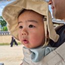 새마을로1R-33 | 13개월 아기와 국내여행 ⑤ 경북 안동(1) | 하회마을, 병산서원, 안동 맛집 후기