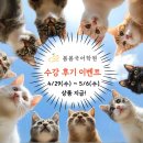 봄봄국어학원 - 남구 봉선로 173 | 봄봄국어학원