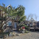 꽃지어울 이미지