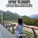설악스카이 | 속초 설악산 가볼만한곳 설악향기로 스카이워크 출렁다리