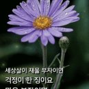 목요일 좋은일만가득 인사말 이미지 이미지