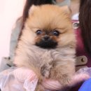 품안농장 이미지