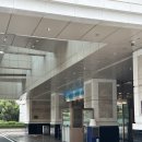 롯데호텔울산 | 울산 남구 호텔 추천｜롯데호텔 울산 호캉스 숙박 후기