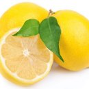 레몬의 놀라운 활용법 이미지