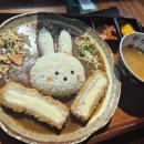 경양카츠 군산 | 군산 토끼 카레 먹으러 온 돈가스 맛집 후성 식당