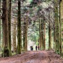 천마목장 이미지