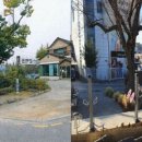 보라1통 이미지