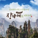 한길여행사 이미지