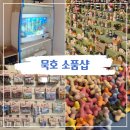 아기자기소품 | 묵호 마그넷 구매처 찾는다면｜아기자기한 소품샵 후기