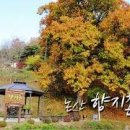 범골농장 이미지