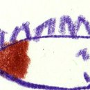 화현어린이집 이미지