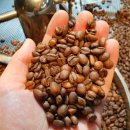 N.VILLAGE 2 이미지