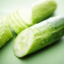 닥터파파동물병원 이미지