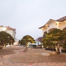 소나무리조트 이미지