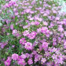 이레목장 이미지