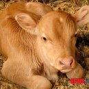 횡성 공근면복지회관 이미지