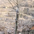 진영4호 이미지