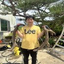 현대사슴농장 이미지