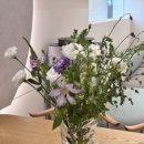 서울에이치과의원 이미지