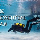 빅블루