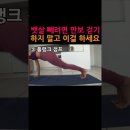 뱃살 제거에 효과 좋은 플랭크 자세 5가지 이미지