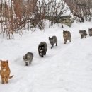 용인제일산후조리원 이미지