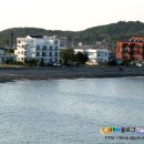 천학정민박