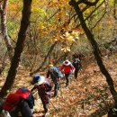 상대농장 이미지