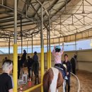 이순신승마센터 이미지