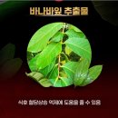 블루션 이미지