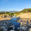 시고로 | 대구 팔공산 근교 경북 영천 단체펜션 시고로 추천 후기